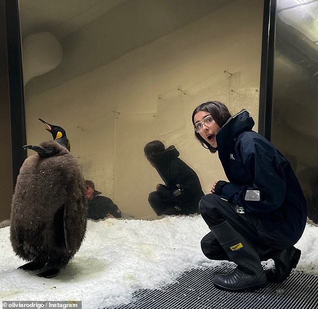 Olivia, 21, had an audience with the King Penguin, who has become famous for weighing an impressive 23kg and eating 25 fish a day, with videos of him having been viewed millions of times