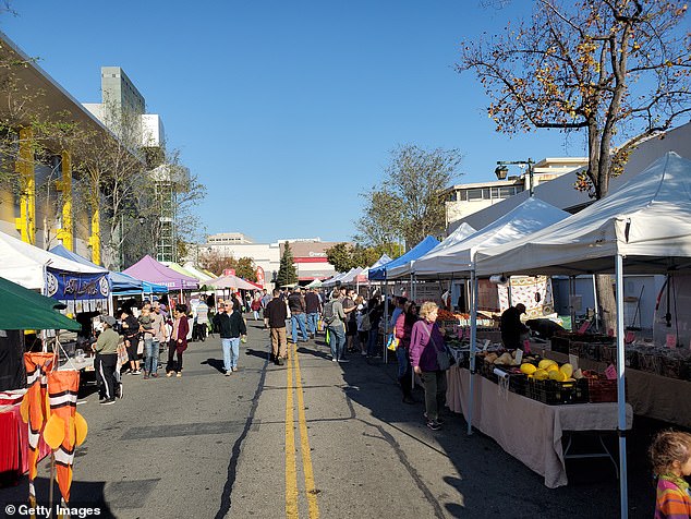 Demonstrations, dueling columns in the weekly Rossmoor News and heated farmers' market discussions over cardboard cutouts of presidential candidates have become the norm