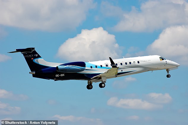 An Embraer Legacy 600 similar to the one in the crash (stock image)