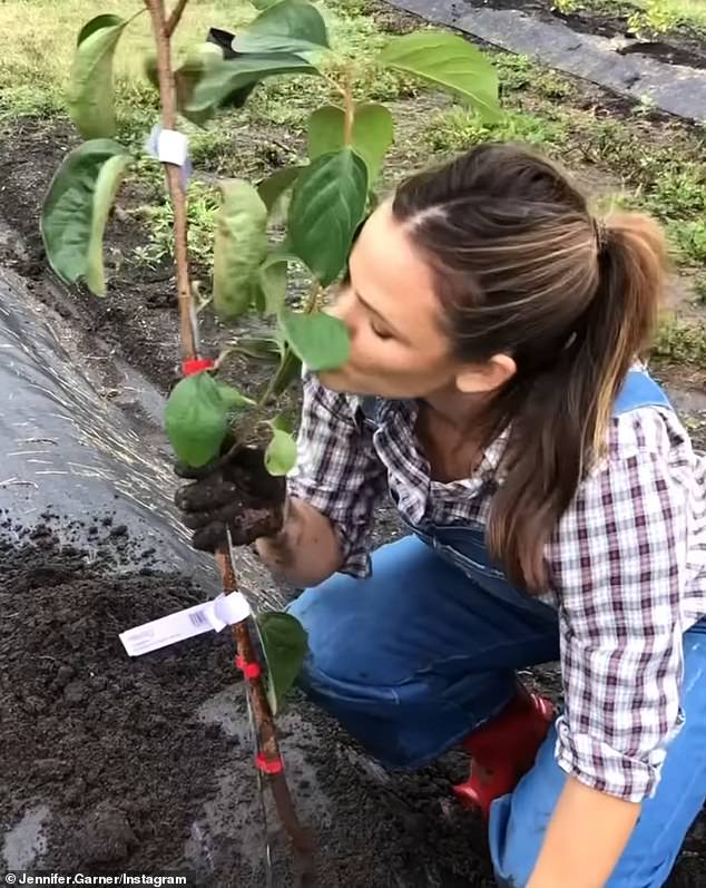 The actress showed some tender care for her plants