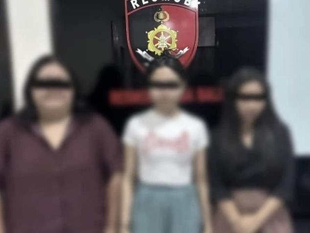 High Commissioner of Police Jansen Avitus Panjaitan confirmed that three women had been arrested in the widespread raids (pictured), which also involved another spa.