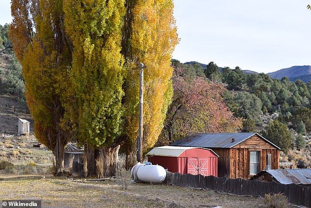 But all was not lost as the district saw a small increase in population when the Ione Gold Mining Company established a ten-stamp mill to process ore from the Berlin mine.