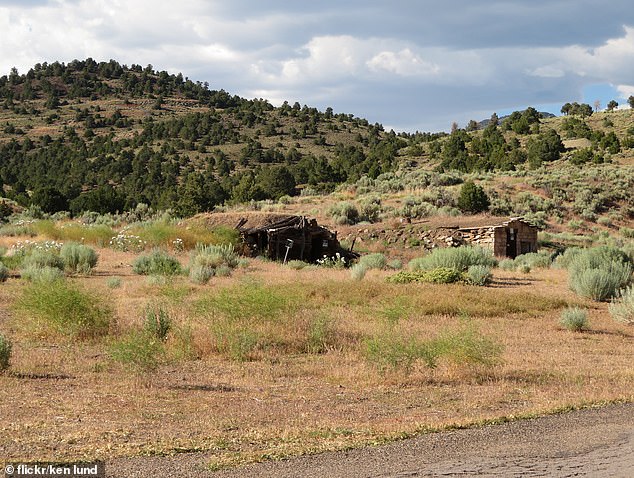 The town is close to additional accommodations at Berlin-Icthyosaur State Park and Gabbs, Nevada