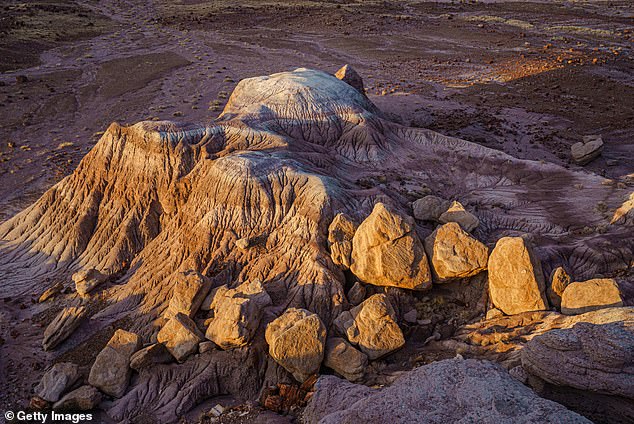 Visitors can drive through the 218,000-acre park in less than an hour, from both the north and south, with views of the Petrified Forest, Badlands, and Painted Desert