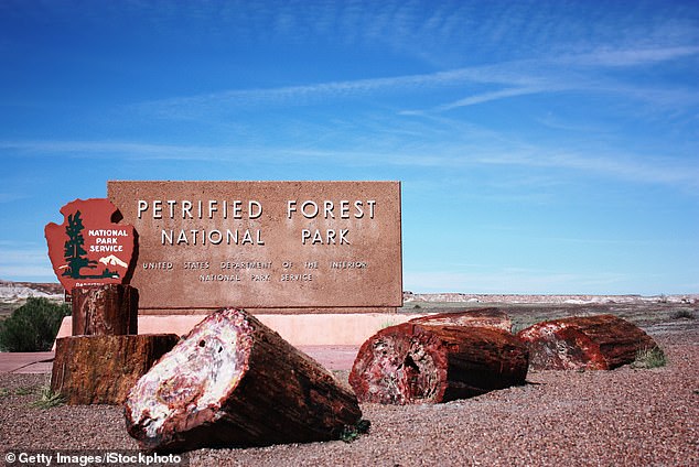 The park attracts more than 600,000 visitors annually, many of whom attempt to sweep away parts of the quartz for themselves