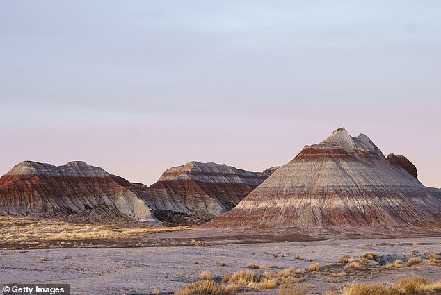 Paleontological digs have uncovered fossils in the park that are more than 200 million years old, the era commonly referred to as 'The Dawn of the Dinosaurs'