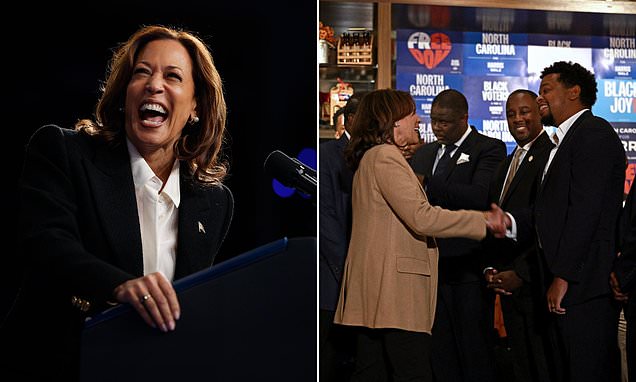 1728910873 250 Presidential polls live updates Trump gets another boost over Harris