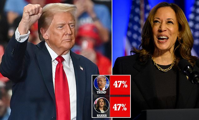 1728910876 98 Presidential polls live updates Trump gets another boost over Harris