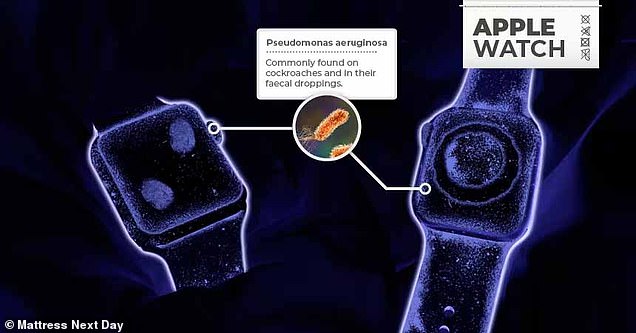 Pseudomonas aeruginosa is a bacterium commonly found in the feces of cockroaches