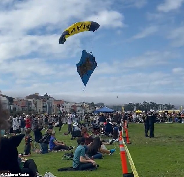 Pictured: the paratrooper moments before he crashed into the shocked crowd