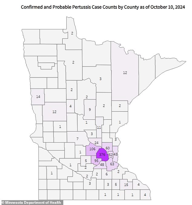 The above map from the Minnesota Department of Health shows the cluster where a surge of whooping cough cases is located. Hennepin County, which includes Minneapolis, recorded the most cases with 376