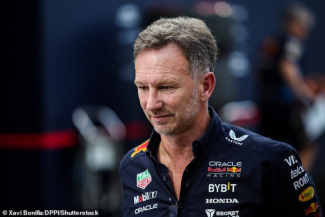 But Red Bull team boss Christian Horner has admitted the team would welcome Ricciardo back as an ambassador