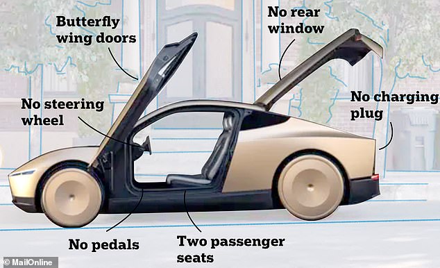 Tesla's futuristic Robotaxi will have no steering wheel, pedals or rear window. The two passengers simply sit back and let the car drive itself