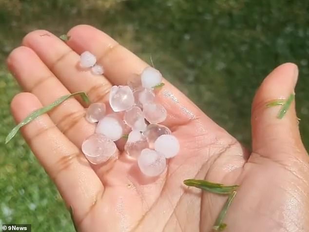 Hailstones (pictured) fell in some parts of Sydney during a wild storm on Monday