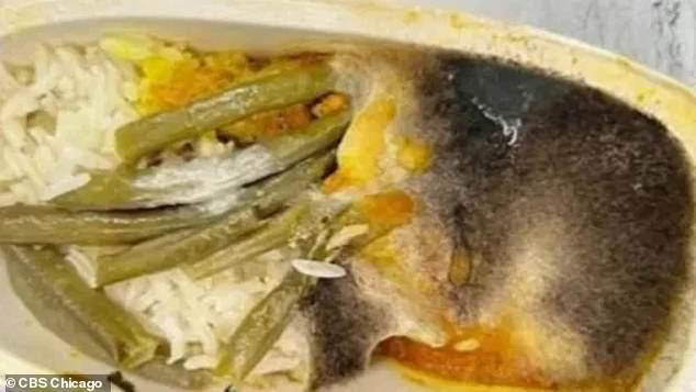 In July, a flight from Detroit to Amsterdam was forced to make an emergency landing in New York after passengers were served moldy chicken, causing several passengers to become ill