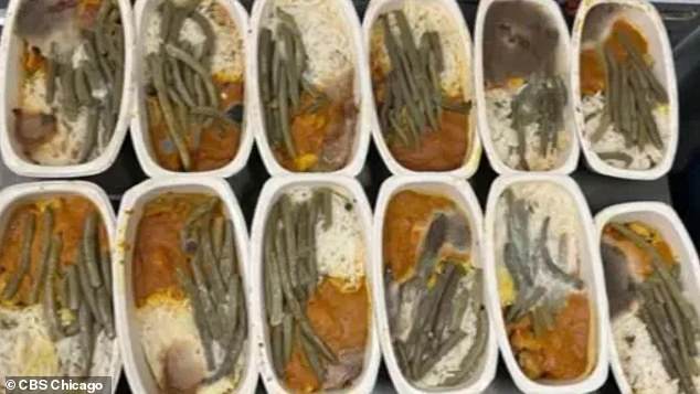 This isn't the first time the cleanliness of Delta's kitchens in Detroit has been questioned. Dozens of meals appeared to be moldy in the photo during a flight to Europe in July