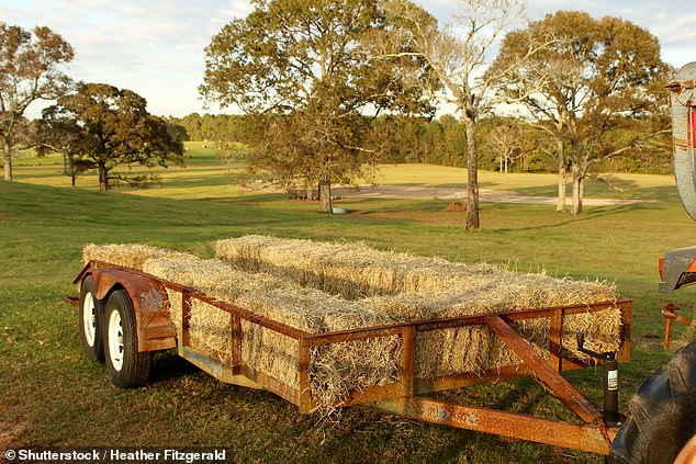 A Hayride trailer (stock image). Organizers said on Facebook that riders on the ride were unaware of the tragedy that unfolded just before their eyes