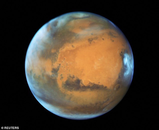 Scientists have warned that landing humans on Mars (pictured) will contaminate the planet with biological spores, making it impossible to detect the signs of alien life