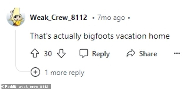 The discovery has sparked a series of theories on the Internet, including Bigfoot's vacation home or a shuttle from Star Trek