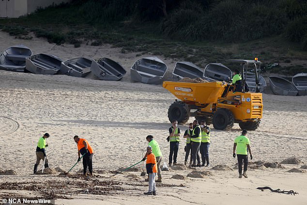 Randwick Council workers are cleaning up Coogee Beach in Sydney's east