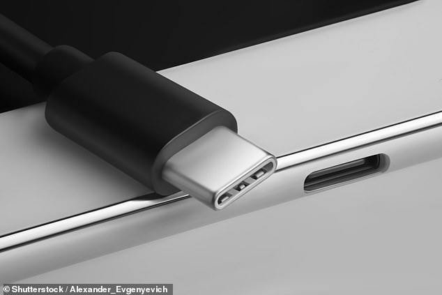 EU rules require all devices, including laptops from 2026, to use the USB-C cable. The UK Office for Product Safety and Standards (OPSS) has opened a consultation on making the USB-C cable the mainstream charger (stock image)