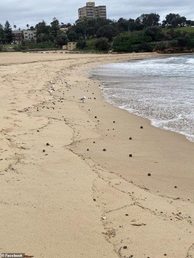 1729061041 260 Mysterious black balls that washed up on one of Australias