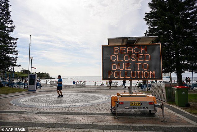 1729061053 483 Mysterious black balls that washed up on one of Australias