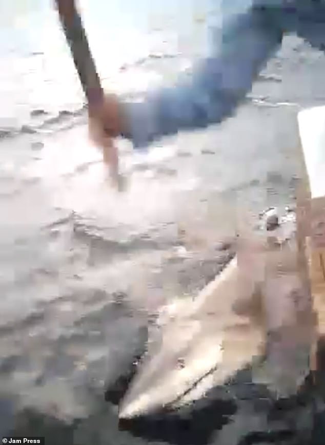 The locals were able to track down the shark and hit it with a wooden club after the attack