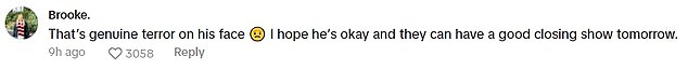 Meanwhile, other fans commented under the original video on TikTok: 'It's too scary to see him give the signal!! I'm glad everyone is safe.