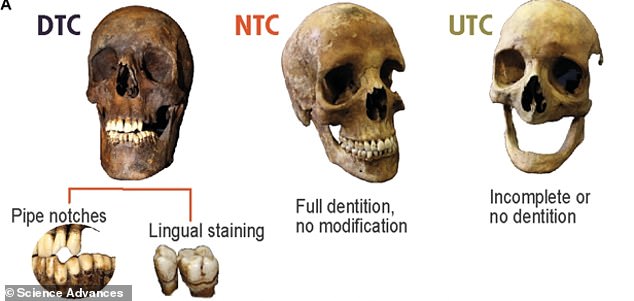 The researchers studied bones from detected tobacco consumers (DTCs) and undetected tobacco consumers (NTCs). Many archaeological individuals have poorly preserved dental remains or lose their teeth before death, causing them to be categorized as indeterminate tobacco consumers (UTCs).