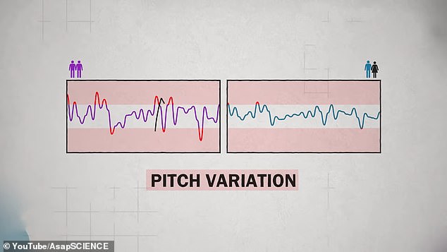 Mitch Moffit, a biologist, and Greg Brown, a science teacher – both of whom are gay – investigated what exactly constitutes a 'gay voice' and what might cause it