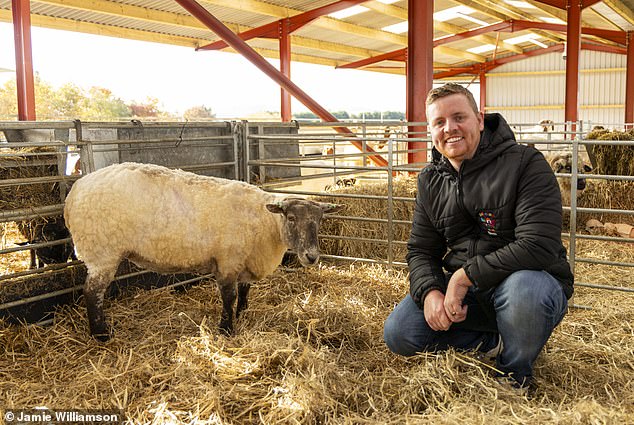 Farmer Ben Best fears Fiona has 'forgotten how to be a sheep' after living in isolation for two years