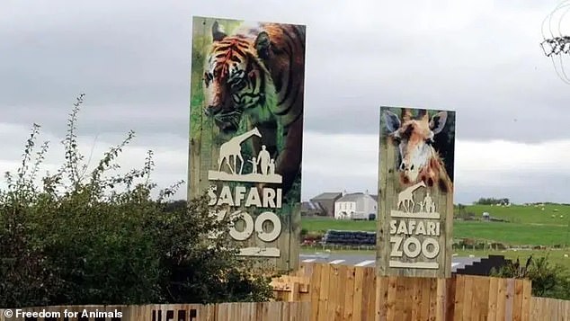 South Lakes Safari Zoo at Dalton in Furness, Cumbria, has been steeped in controversy with a keeper mauled to death by a tiger more than a decade ago and almost 500 animals dying at the facility in the space of three years