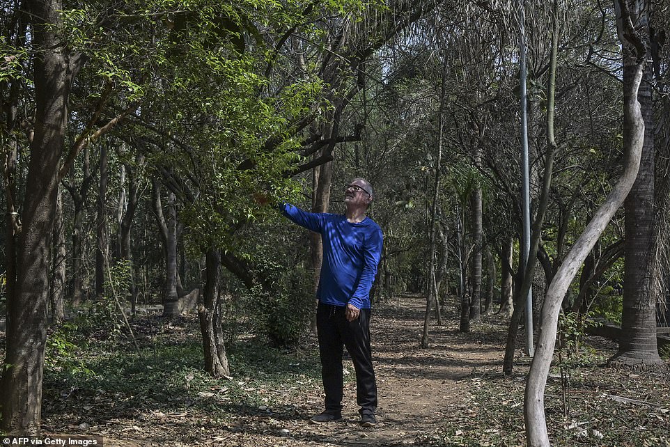 The 3.2 kilometer long and 100 meter wide stretch of land is now a beautiful urban jungle known as Tiquatira Linear Park, with the Tiquatira River flowing between two busy avenues. Helio is pictured above leaning toward a tree