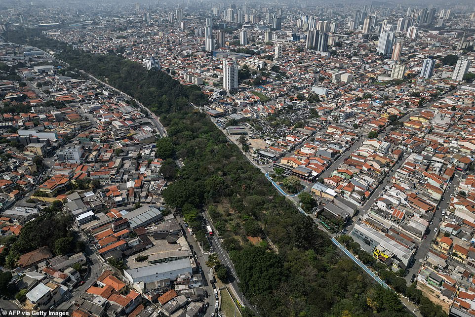 The park helps prevent riverbank erosion, lowers temperatures in Sao Paulo's concrete city center and improves air quality