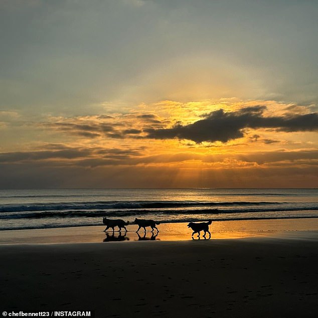 Another image showed a trio of dogs walking along the shoreline without a leash at dusk. It is unclear whether they were on a dog-friendly section of the beach