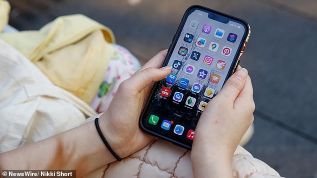 There are fears that the bill could lead to people self-censoring and deter people from posting on digital platforms (stock image)