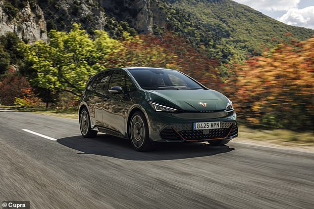 The terms and conditions of the offer require customers to notify the manufacturer by email within 80 to 100 days of receipt that they no longer want the EV - that's less than three weeks to make a decision