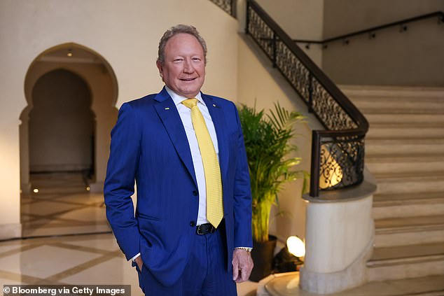 Andrew 'Twiggy' Forrest will turn his attention to his Fortescue's iron ore empire