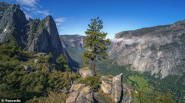 The young adventurer was killed by a falling tree on October 8 while climbing the spectacular Four Mile Trail to Glacier Point in Yosemite National Park.