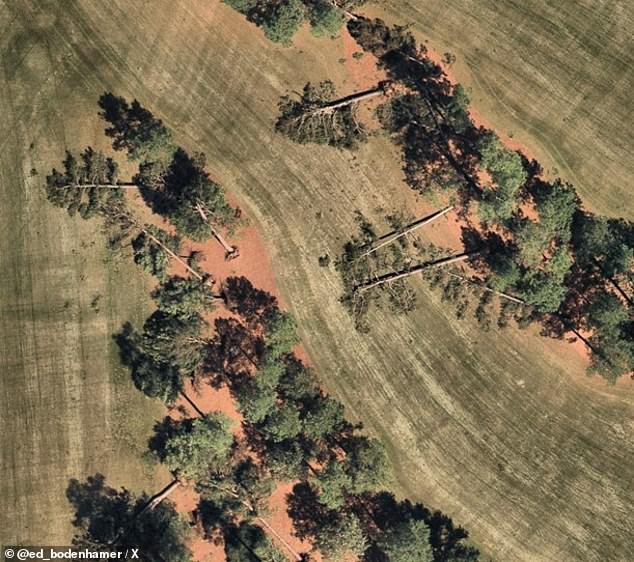 The tee boxes appear to have narrowly avoided demolition after the iconic pine trees came crashing down