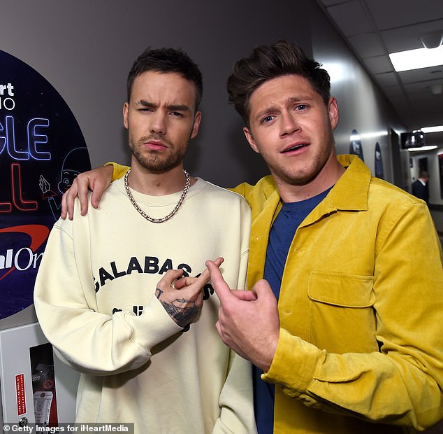 The insider admitted that Payne found it difficult to see his former bandmates flourish after the band went on an indefinite hiatus in 2016, but Payne and Horan recently reunited (pictured in 2017)