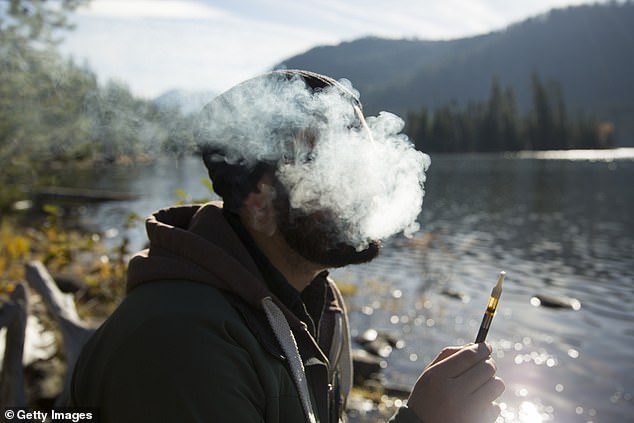 Marijuana users are nearly four times as likely to become infected with mold as non-users, as the potentially toxic molds are known to cause infections, dangerous immune responses and even death. Pictured: Man exhales smoke while smoking legal weed with a vape pen