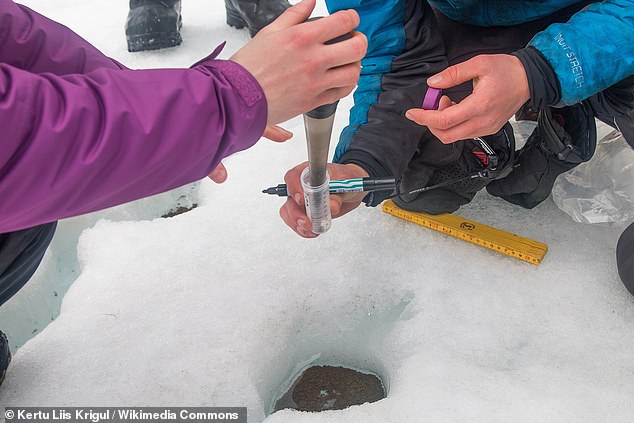 The life on Mars that will one day be found in the dusty ice of the Red Planet could resemble life in 'cryoconite holes' here on Earth. Above, researchers sample a cryoconite hole on the Longyearbreen Glacier, somewhere along Norway's Svalbard Archipelago in 2017