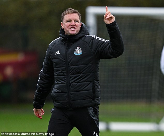 But Newcastle's Eddie Howe was one of seven England coaches not interviewed by the FA