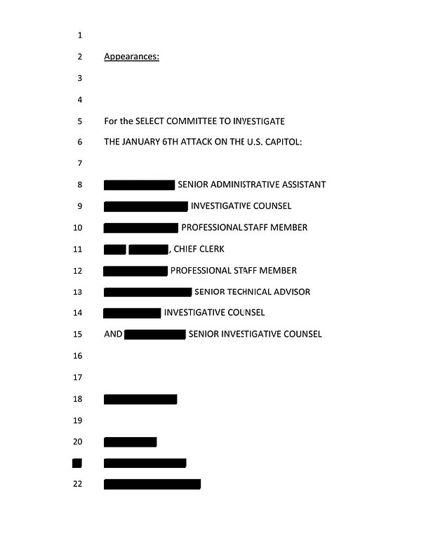 The 1,900 pages of documents include blank pages marked 