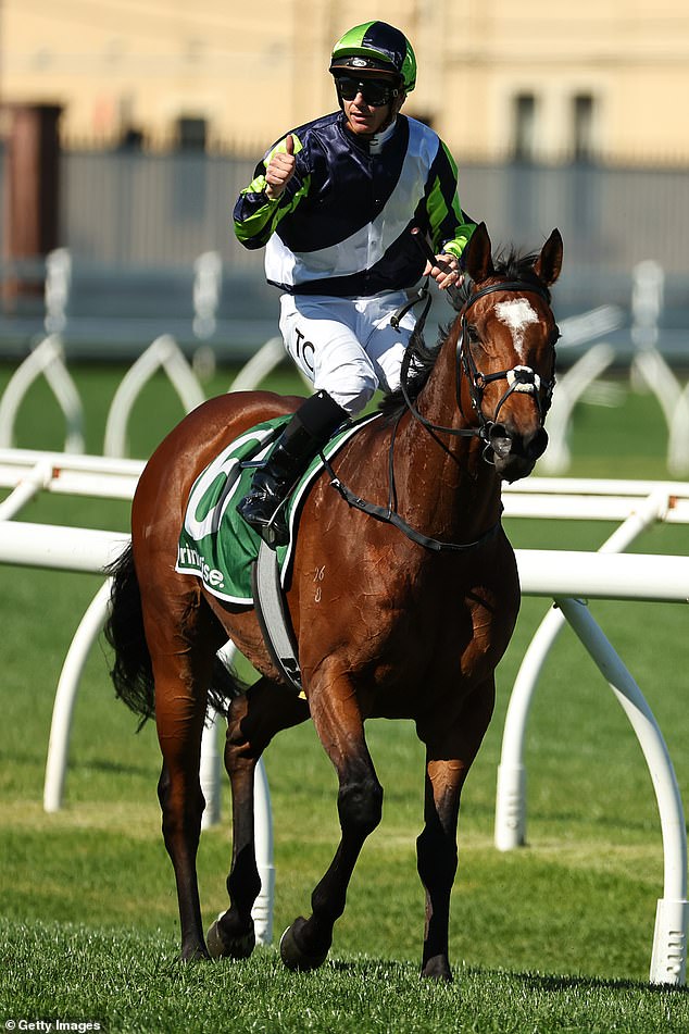 Tim Clark wins the James Squire Kingston Town Stakes with Eliyass during the Sydney Surf To Turf Day