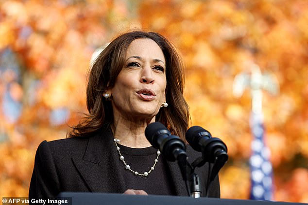 Democrat Harris raised questions about Republican Trump's physical stamina to serve effectively as president as the two rivals tore through the gridlocked state of Michigan on Friday