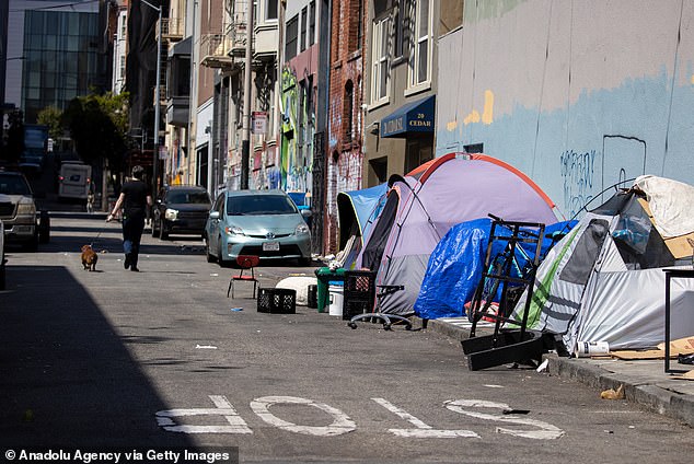 Homeless tents are seen near San Francisco City Hall in California