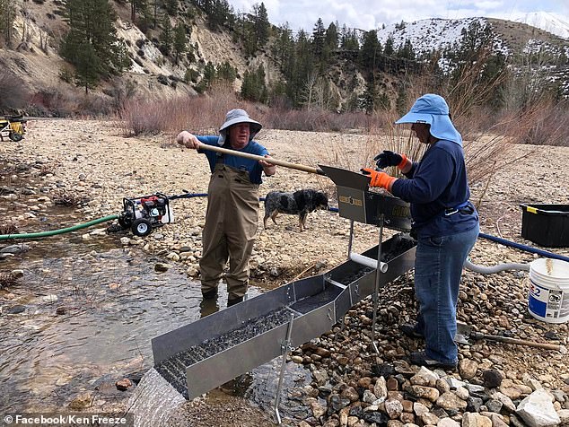 The Freezes now spend their weekends in Idaho prospecting for gold deposits in the nearby riverbeds, hunting for artifacts with metal detectors and spending time in their woodturning shop built in the garage.